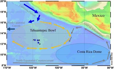 210Po/210Pb Disequilibria in the Eastern Tropical North Pacific